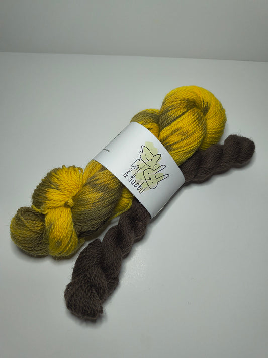 Sock Bundle